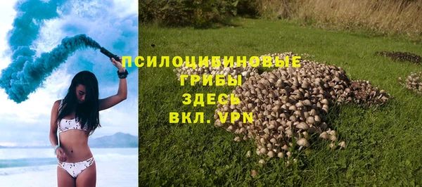 дурь Алексин