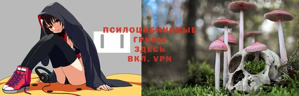 дурь Алексин