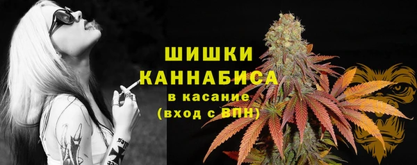 марки lsd Пересвет